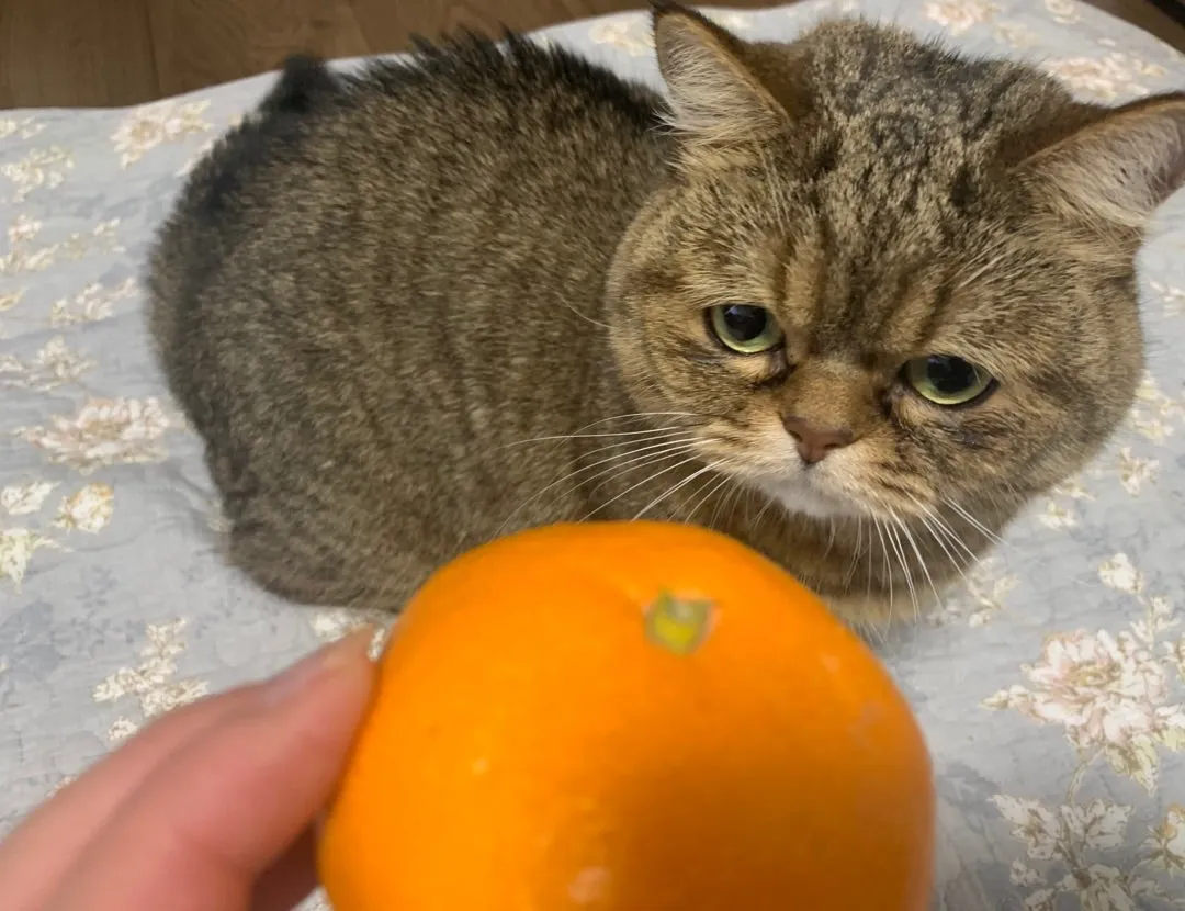 2019年。